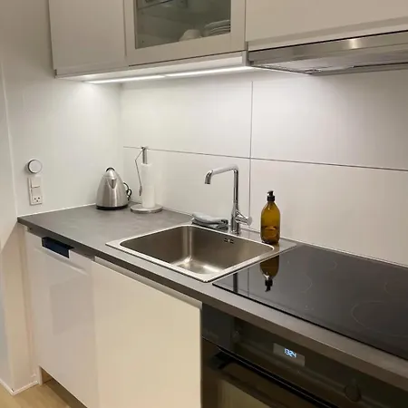 Fjelstrup アパート *